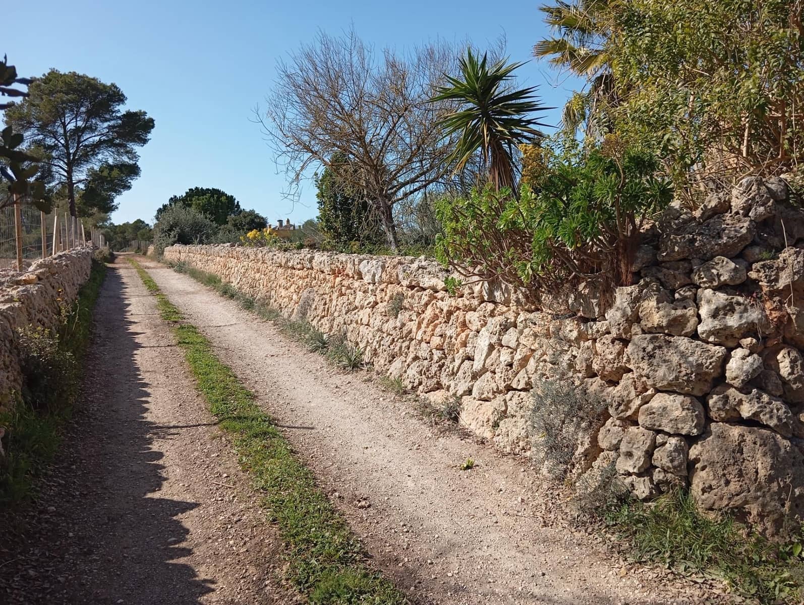 Quinta/Casa Rural para venda em Algaida com garagem - 539 000 € (Ref: 9679556)