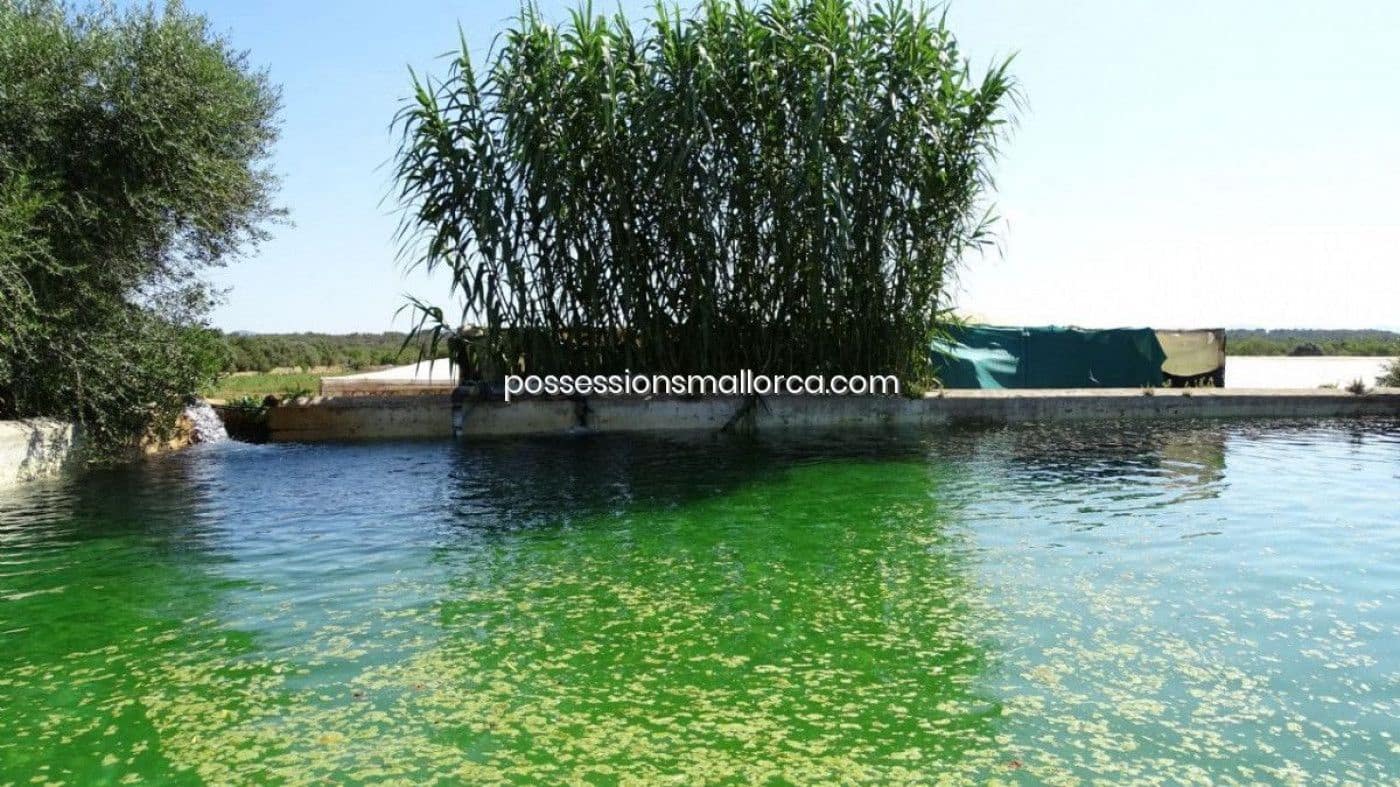 7 bedroom Finca/Country House for sale in Llucmajor with garage - € 3,940,000 (Ref: 9679557)