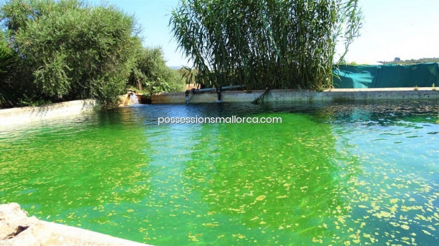 7 bedroom Finca/Country House for sale in Llucmajor with garage - € 3,940,000 (Ref: 9679557)