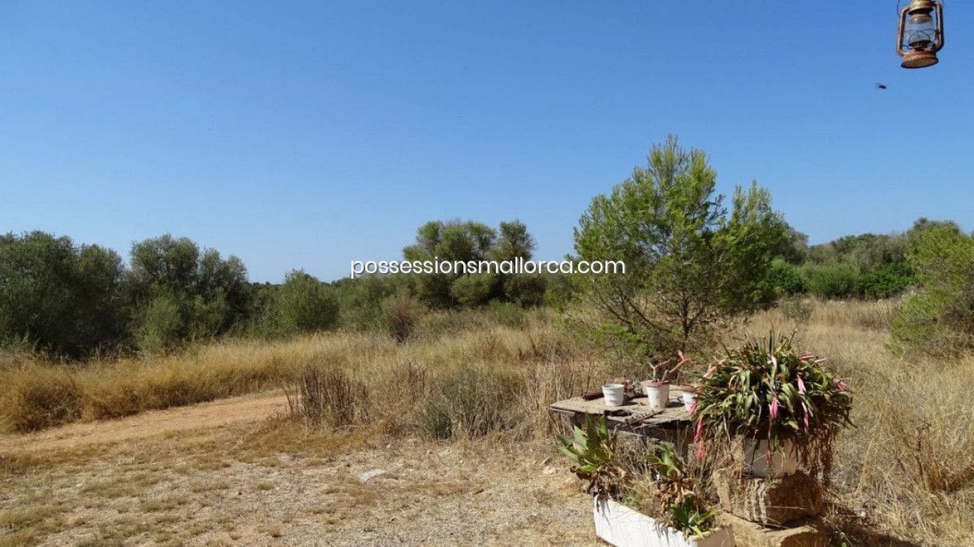 7 bedroom Finca/Country House for sale in Llucmajor with garage - € 3,940,000 (Ref: 9679557)