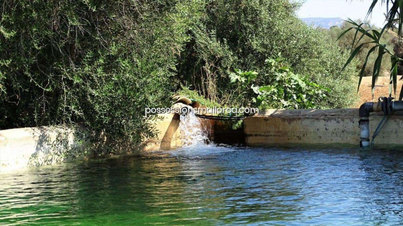 7 bedroom Finca/Country House for sale in Llucmajor with garage - € 3,940,000 (Ref: 9679557)