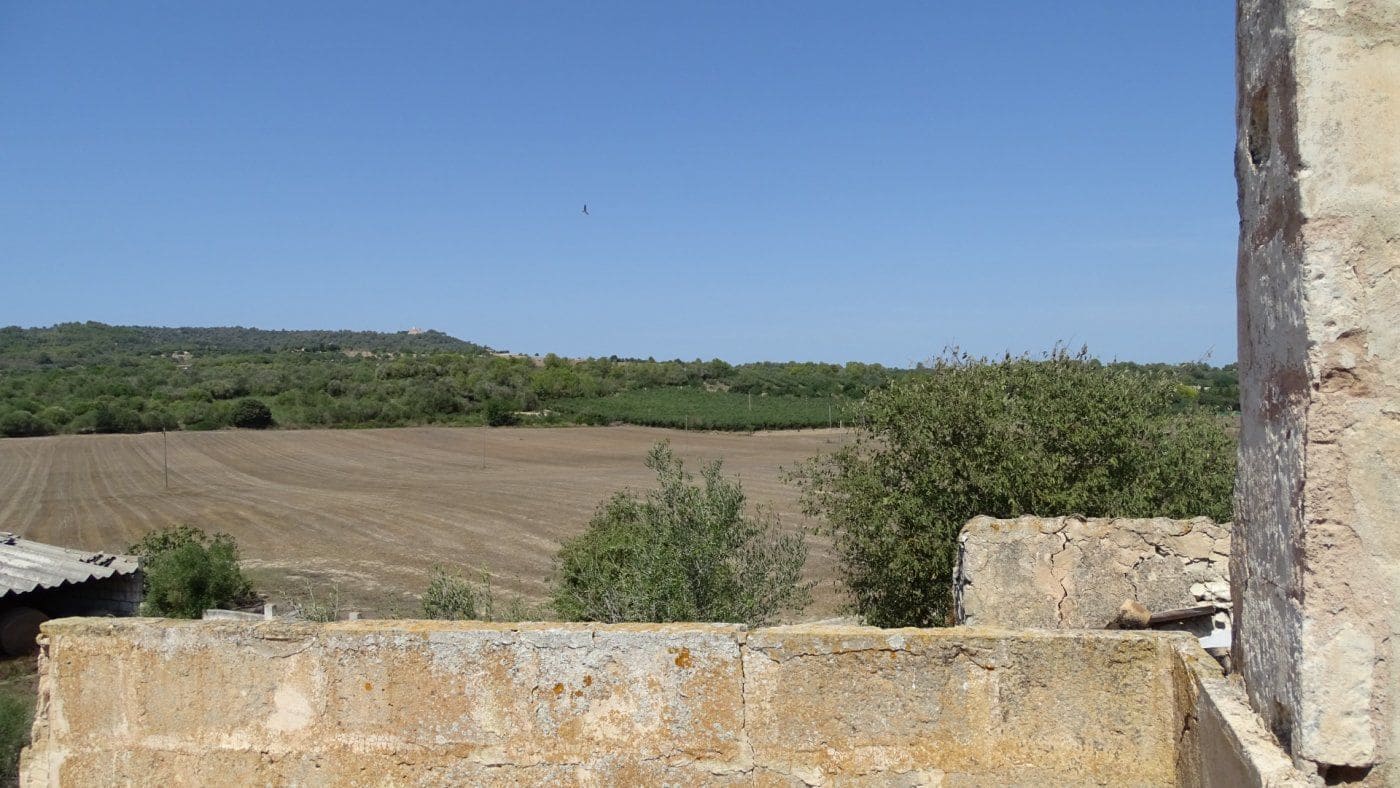 Finca/Casa Rural de 5 habitaciones en Petra en venta con garaje - 1.900.000 € (Ref: 9679561)