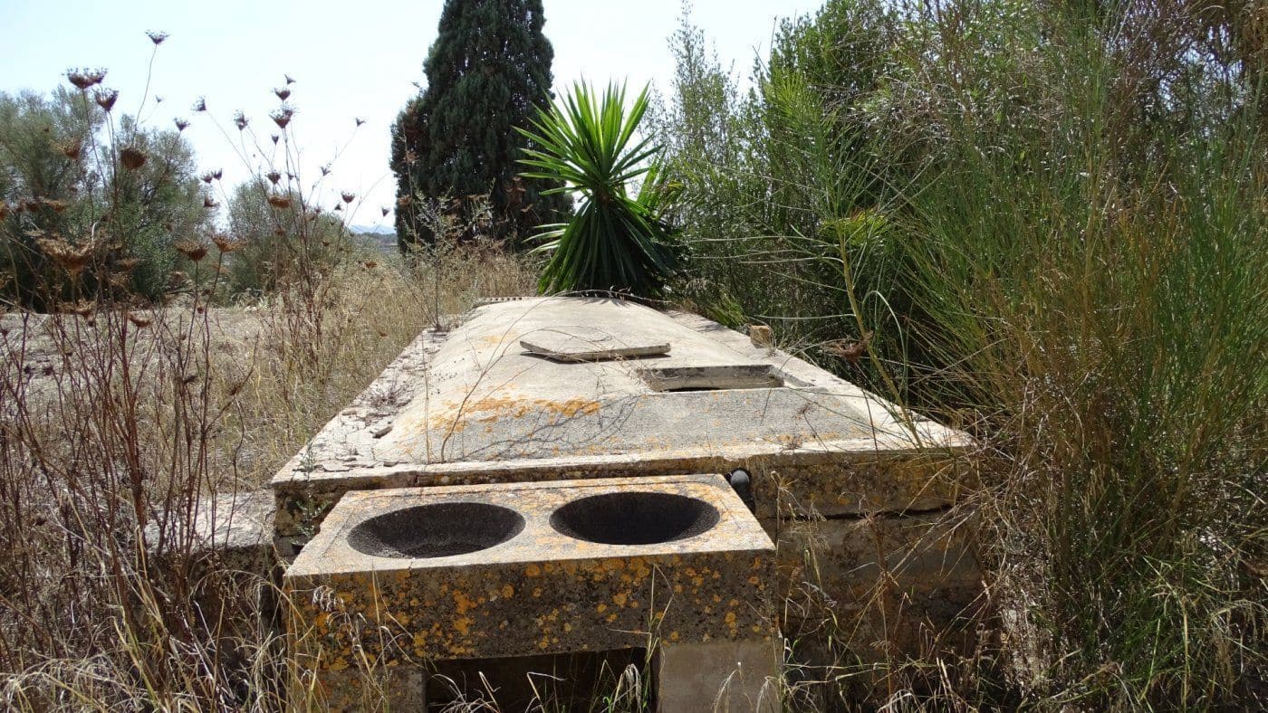 Finca/Casa Rural de 5 habitaciones en Petra en venta con garaje - 1.900.000 € (Ref: 9679561)