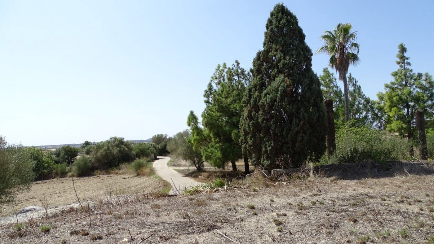 Finca/Casa Rural de 5 habitaciones en Petra en venta con garaje - 1.900.000 € (Ref: 9679561)