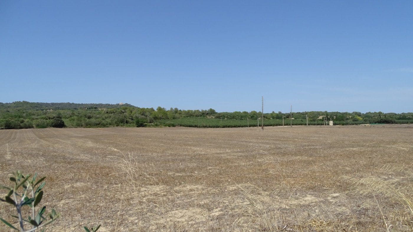 Finca/Casa Rural de 5 habitaciones en Petra en venta con garaje - 1.900.000 € (Ref: 9679561)