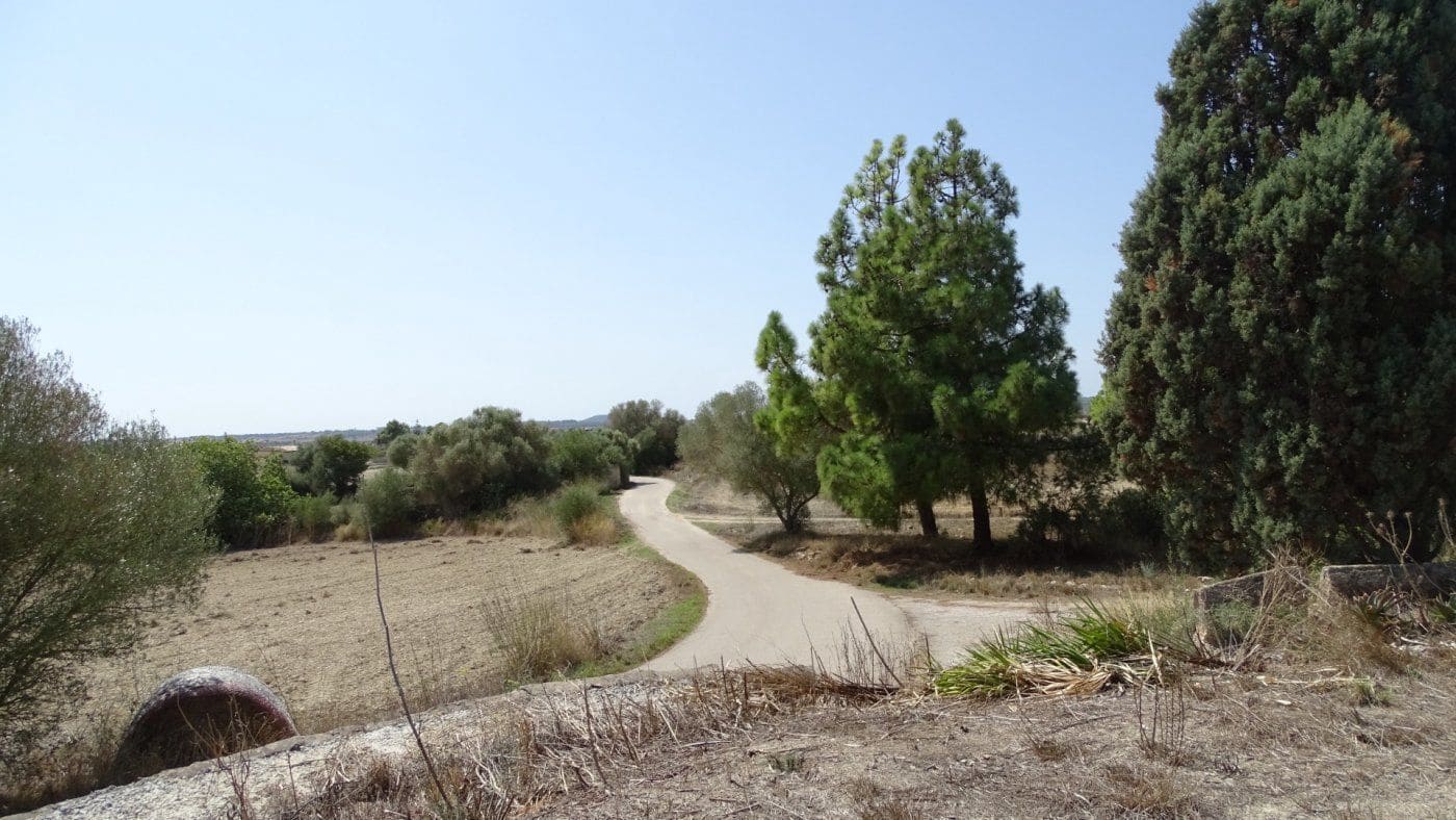 Finca/Casa Rural de 5 habitaciones en Petra en venta con garaje - 1.900.000 € (Ref: 9679561)