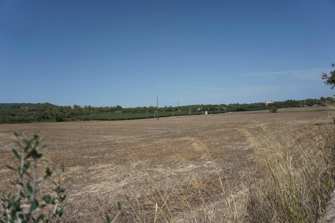 Finca/Casa Rural de 5 habitaciones en Petra en venta con garaje - 1.900.000 € (Ref: 9679561)