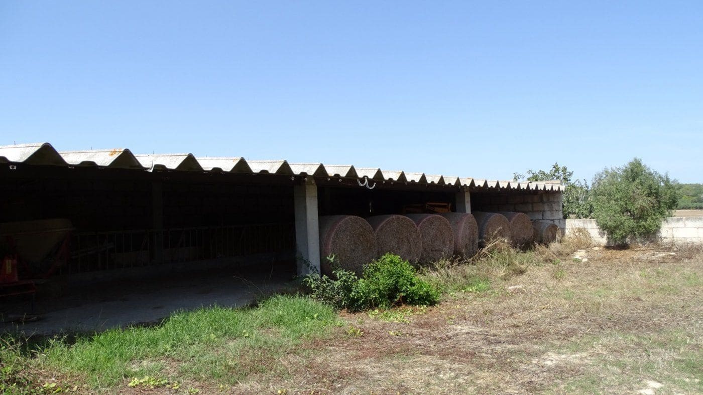 Finca/Casa Rural de 5 habitaciones en Petra en venta con garaje - 1.900.000 € (Ref: 9679561)