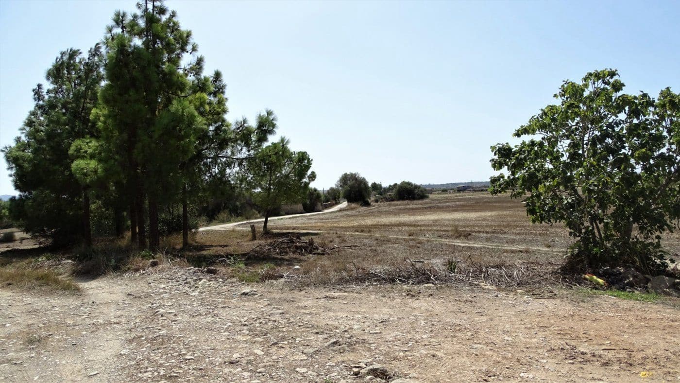 Finca/Casa Rural de 5 habitaciones en Petra en venta con garaje - 1.900.000 € (Ref: 9679561)