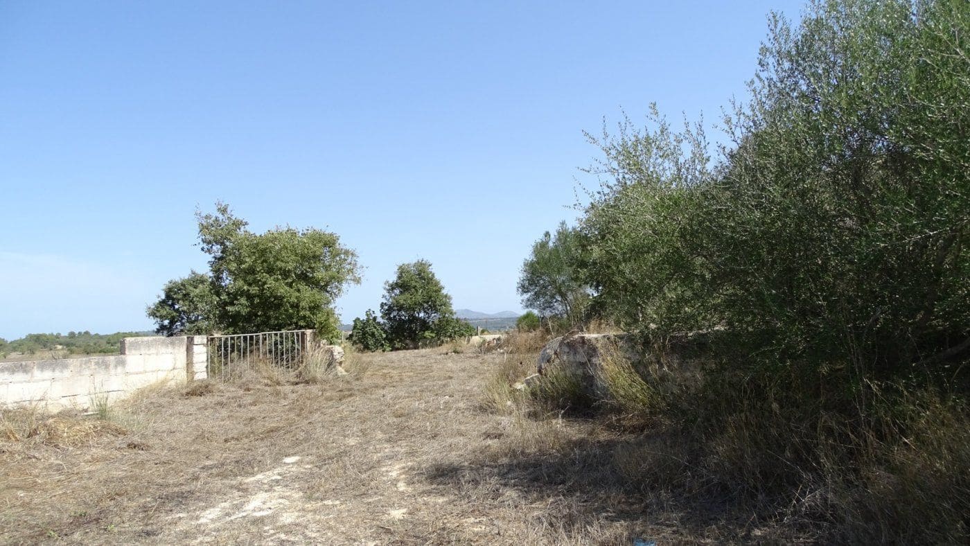 Finca/Casa Rural de 5 habitaciones en Petra en venta con garaje - 1.900.000 € (Ref: 9679561)