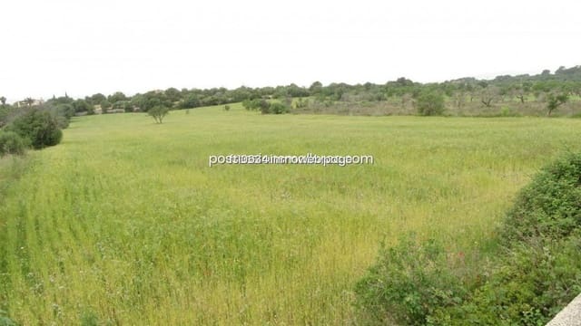 Byggetomt til salgs i Llucmajor - € 50 000 (Ref: 9765222)