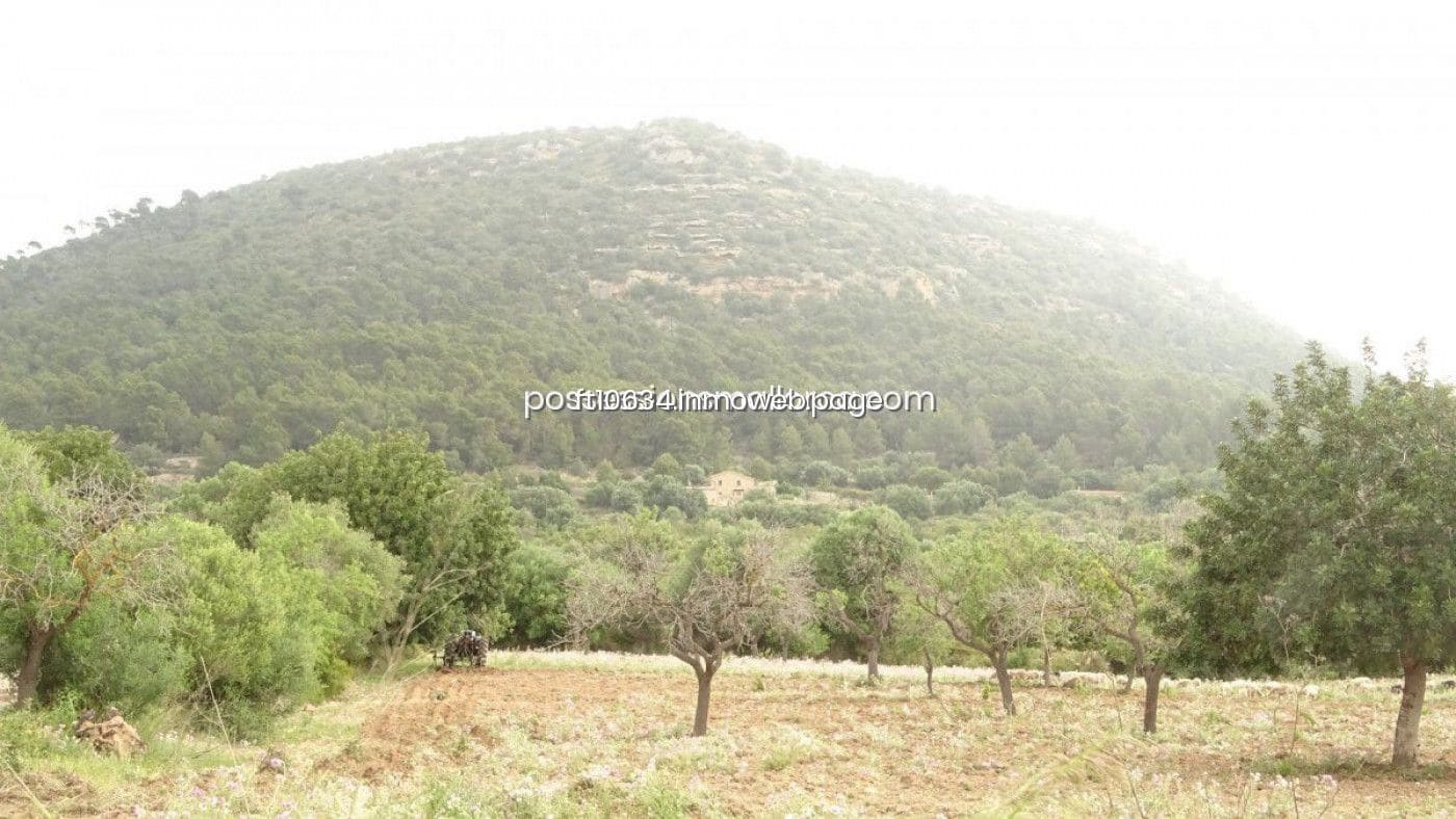 Byggetomt til salgs i Llucmajor - € 50 000 (Ref: 9765222)