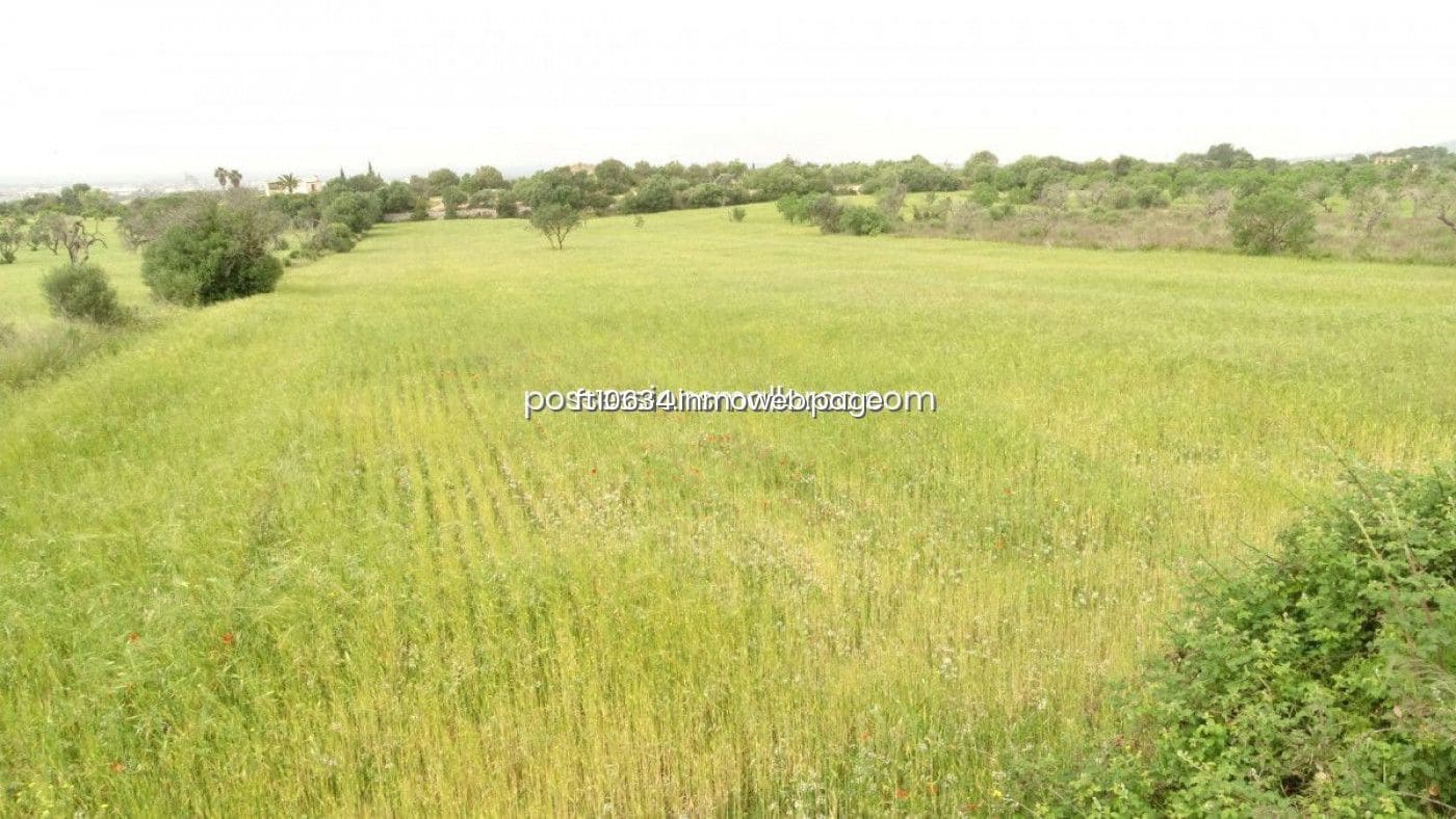 Byggetomt til salgs i Llucmajor - € 50 000 (Ref: 9765222)