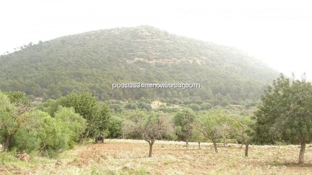 Byggetomt til salgs i Llucmajor - € 50 000 (Ref: 9765222)