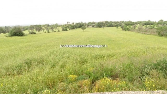 Byggetomt til salgs i Llucmajor - € 50 000 (Ref: 9765222)