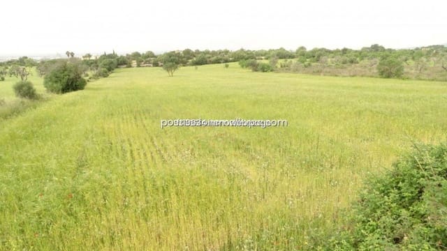 Byggetomt til salgs i Llucmajor - € 50 000 (Ref: 9765222)