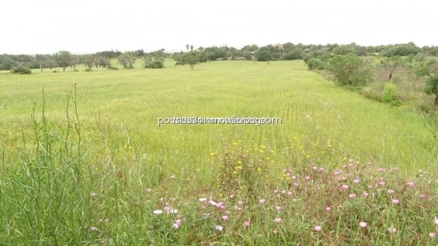 Byggetomt til salgs i Llucmajor - € 50 000 (Ref: 9765222)