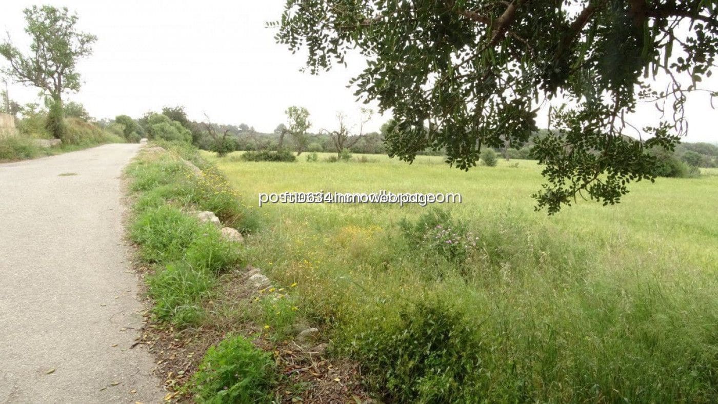 Byggetomt til salgs i Llucmajor - € 50 000 (Ref: 9765222)