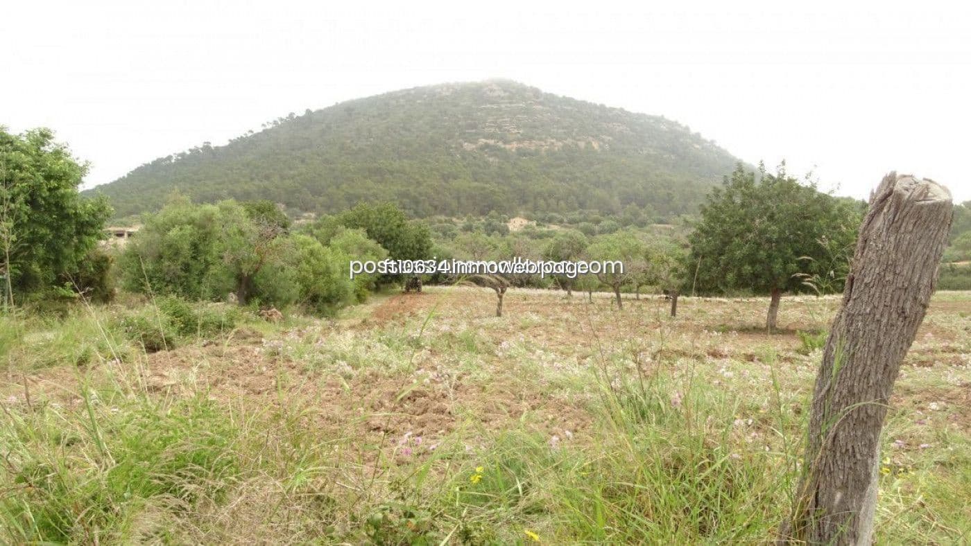 Byggetomt til salgs i Llucmajor - € 50 000 (Ref: 9765222)