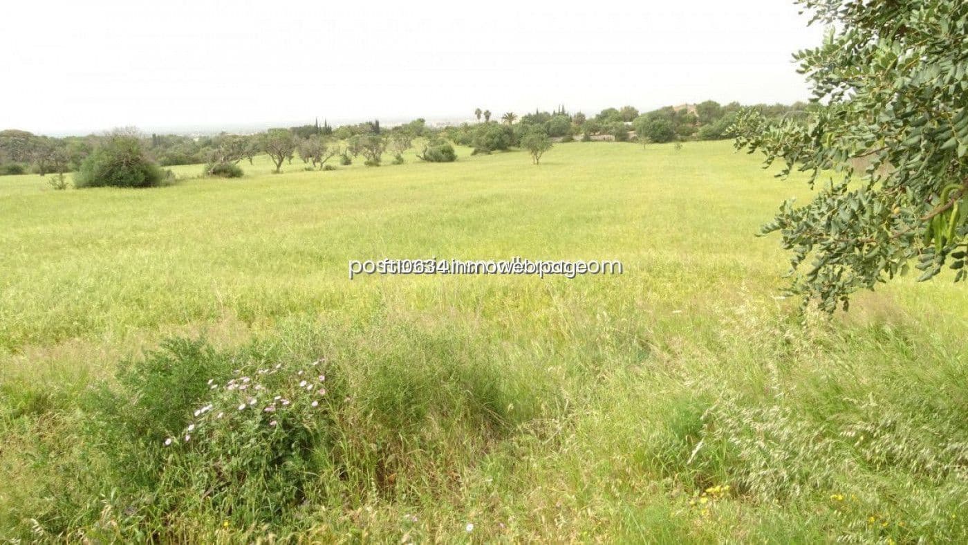 Byggetomt til salgs i Llucmajor - € 50 000 (Ref: 9765222)