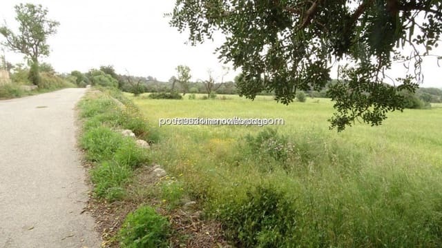 Byggetomt til salgs i Llucmajor - € 50 000 (Ref: 9765222)