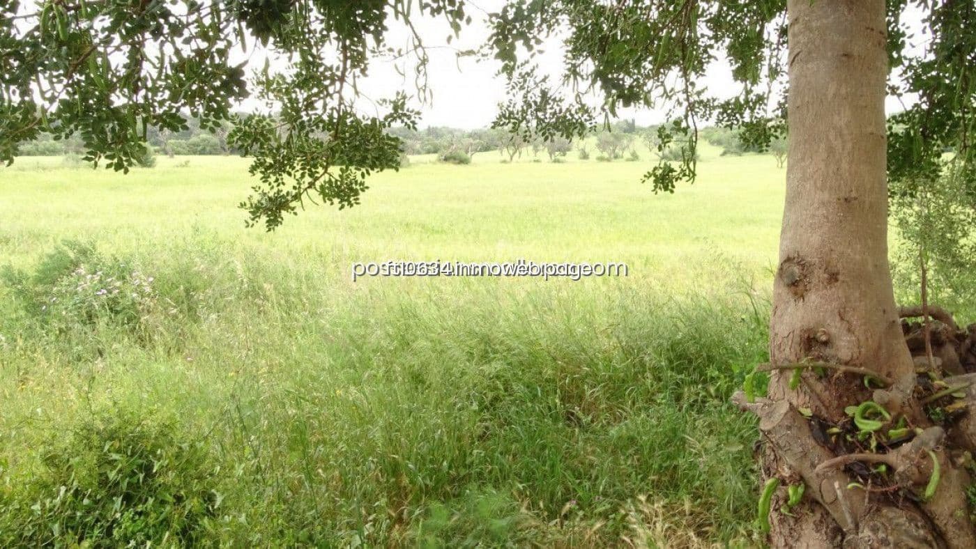 Byggetomt til salgs i Llucmajor - € 50 000 (Ref: 9765222)