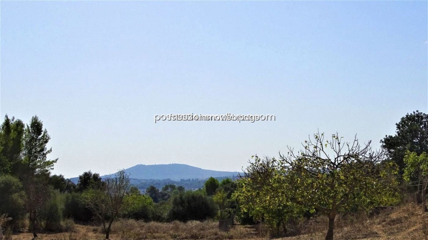 3 chambre Finca/Maison de Campagne à vendre à Maria de la Salud / Maria de la Salut avec garage - 270 000 € (Ref: 9765224)