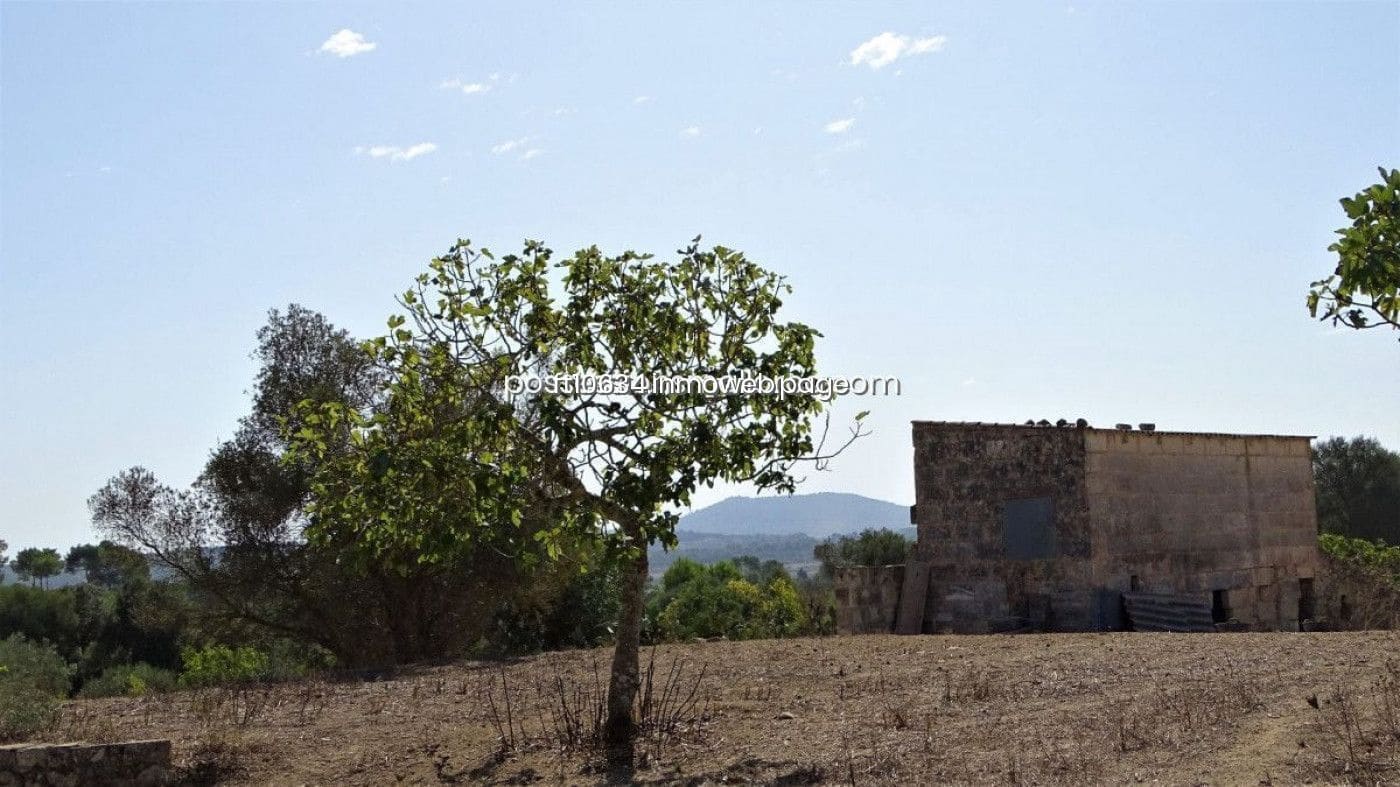3 chambre Finca/Maison de Campagne à vendre à Maria de la Salud / Maria de la Salut avec garage - 270 000 € (Ref: 9765224)