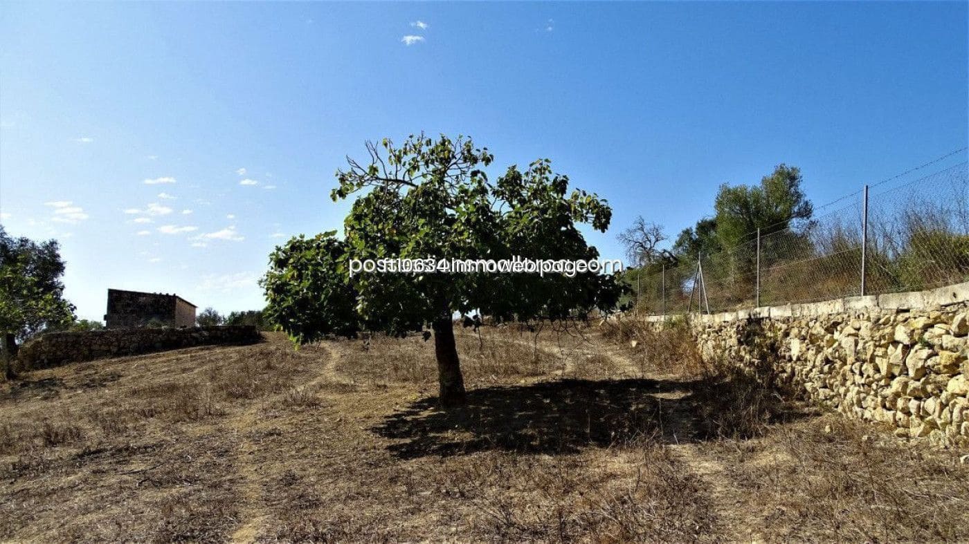 3 chambre Finca/Maison de Campagne à vendre à Maria de la Salud / Maria de la Salut avec garage - 270 000 € (Ref: 9765224)