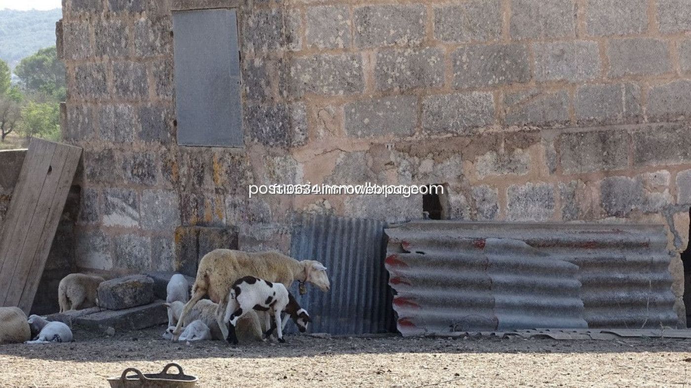 3 chambre Finca/Maison de Campagne à vendre à Maria de la Salud / Maria de la Salut avec garage - 270 000 € (Ref: 9765224)