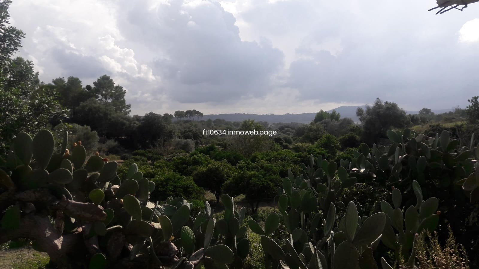 3 chambre Finca/Maison de Campagne à vendre à Maria de la Salud / Maria de la Salut avec garage - 270 000 € (Ref: 9765224)