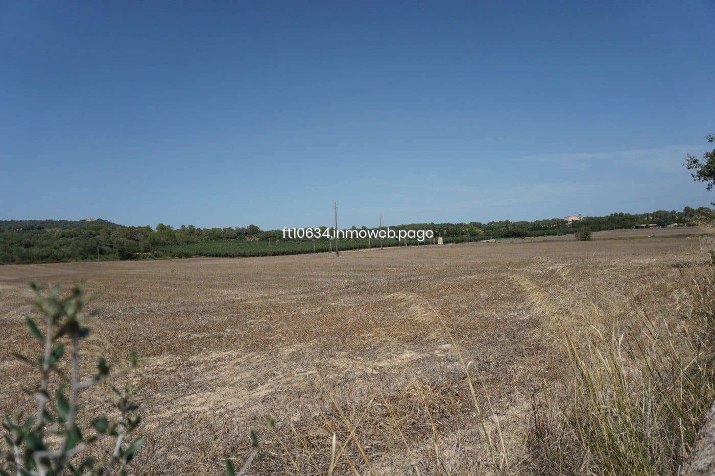 5 quarto Quinta/Casa Rural para venda em Petra com garagem - 1 900 000 € (Ref: 9765225)