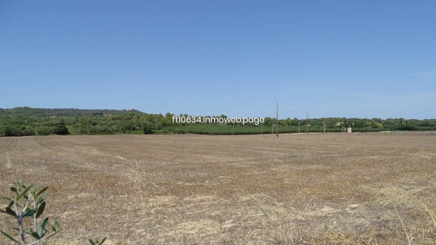 5 quarto Quinta/Casa Rural para venda em Petra com garagem - 1 900 000 € (Ref: 9765225)