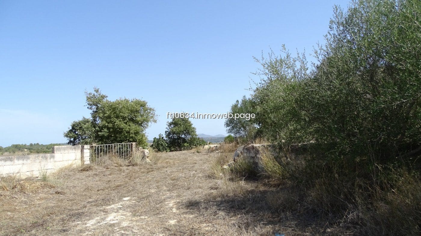 5 quarto Quinta/Casa Rural para venda em Petra com garagem - 1 900 000 € (Ref: 9765225)