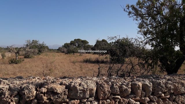 Finca/Herregård til salgs i Algaida med garasje - € 539 000 (Ref: 9765226)