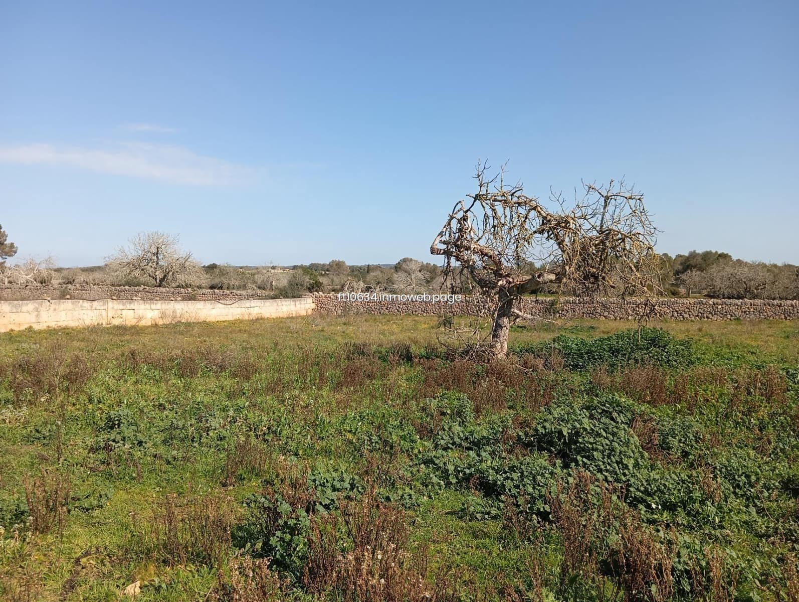 Finca/Herregård til salgs i Algaida med garasje - € 539 000 (Ref: 9765226)