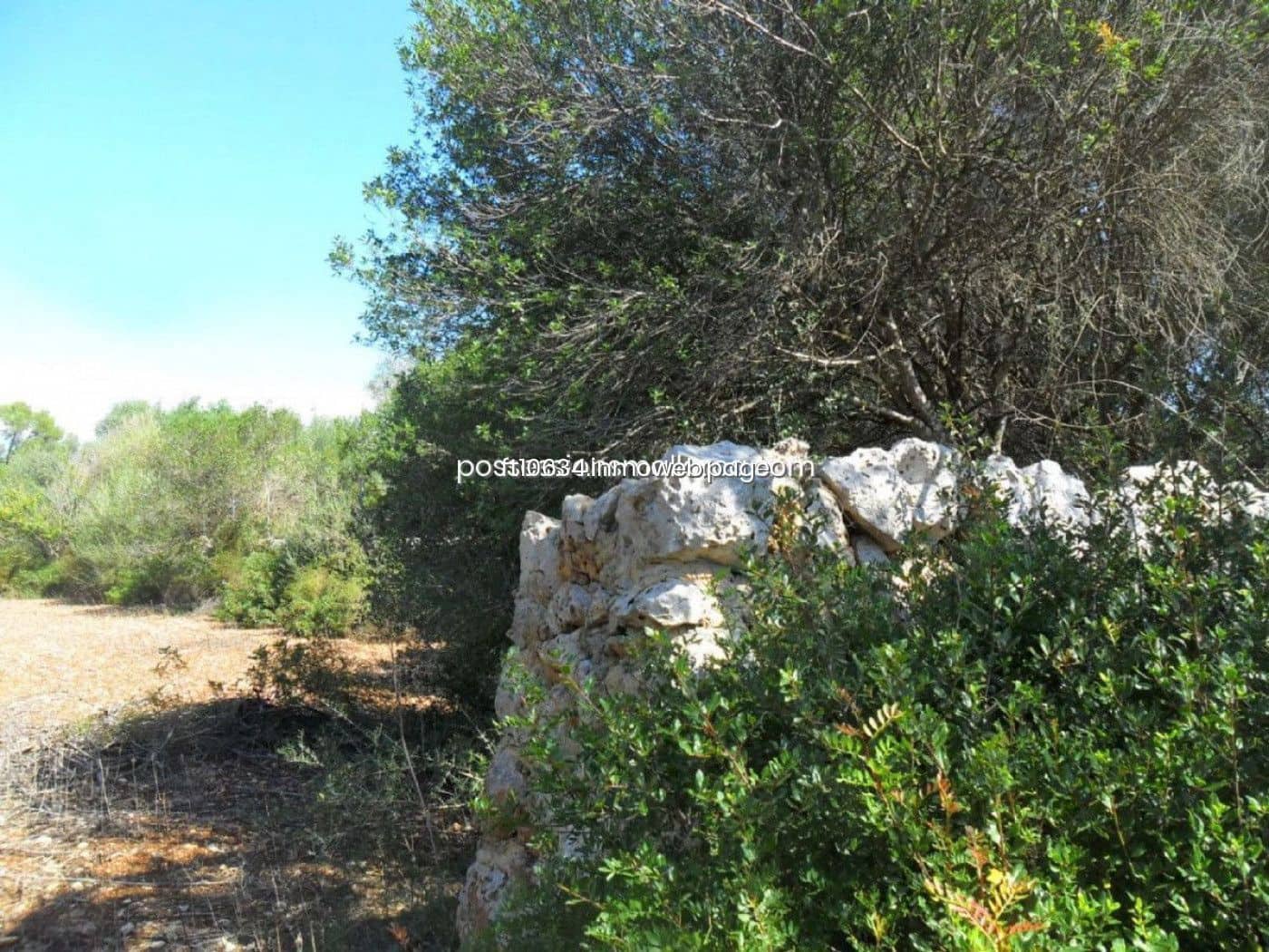 Building Plot for sale in Sencelles - € 450,000 (Ref: 9765228)