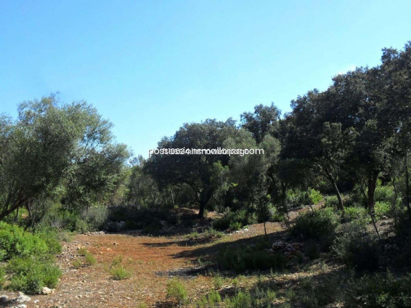 Building Plot for sale in Sencelles - € 450,000 (Ref: 9765228)