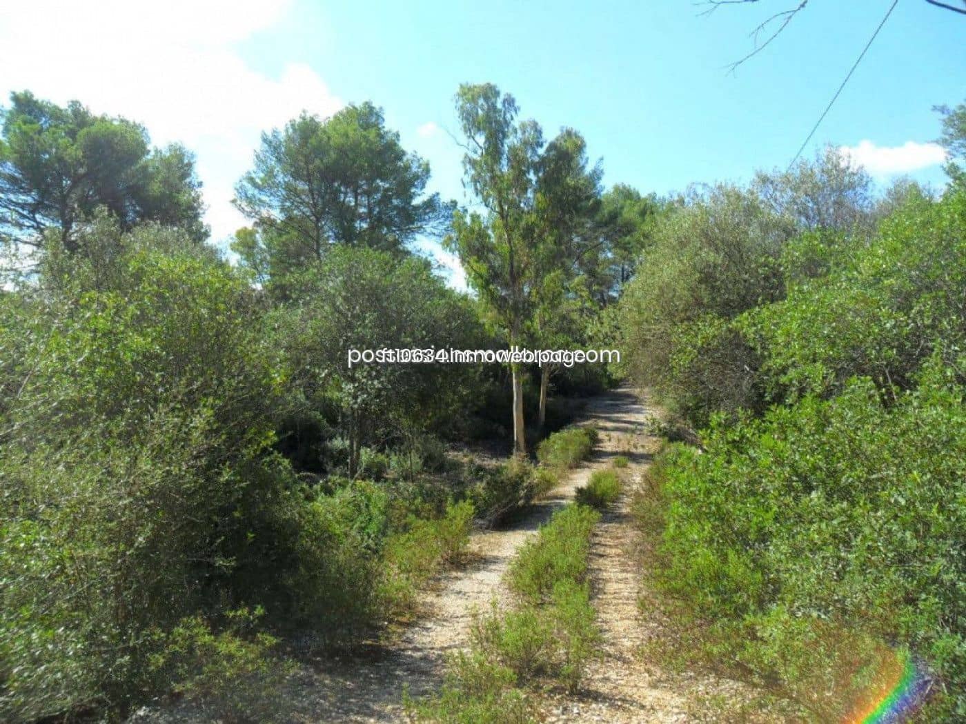 Building Plot for sale in Sencelles - € 450,000 (Ref: 9765228)