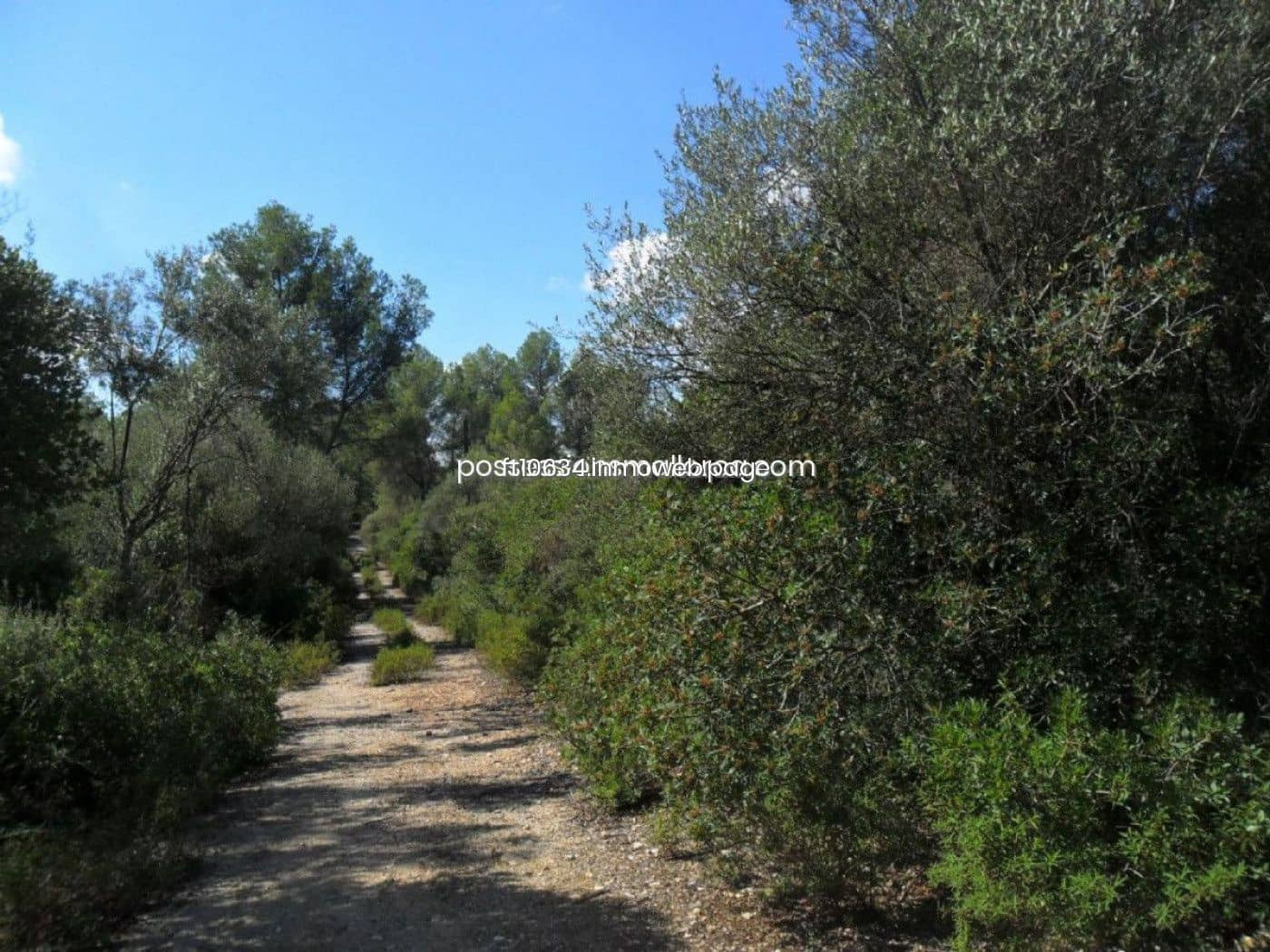 Building Plot for sale in Sencelles - € 450,000 (Ref: 9765228)