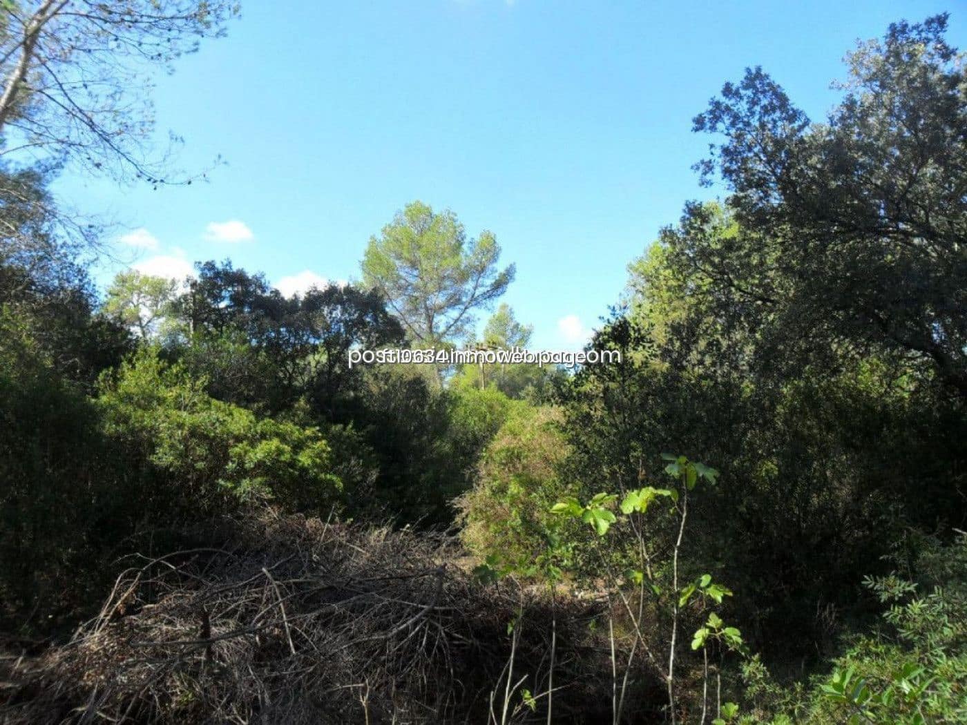 Building Plot for sale in Sencelles - € 450,000 (Ref: 9765228)