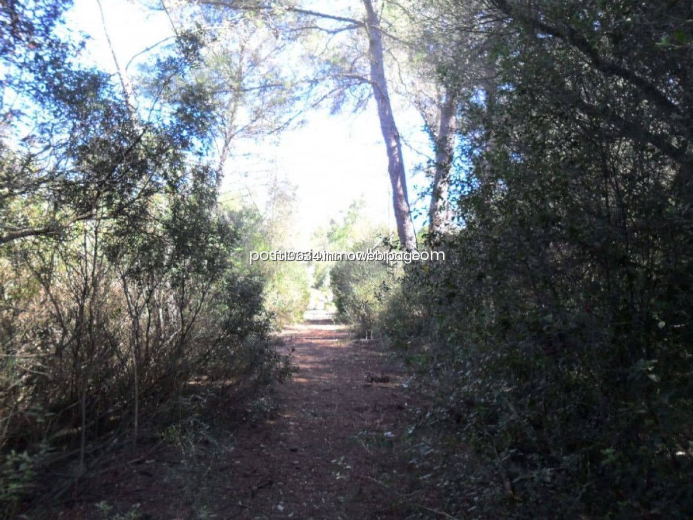 Building Plot for sale in Sencelles - € 450,000 (Ref: 9765228)