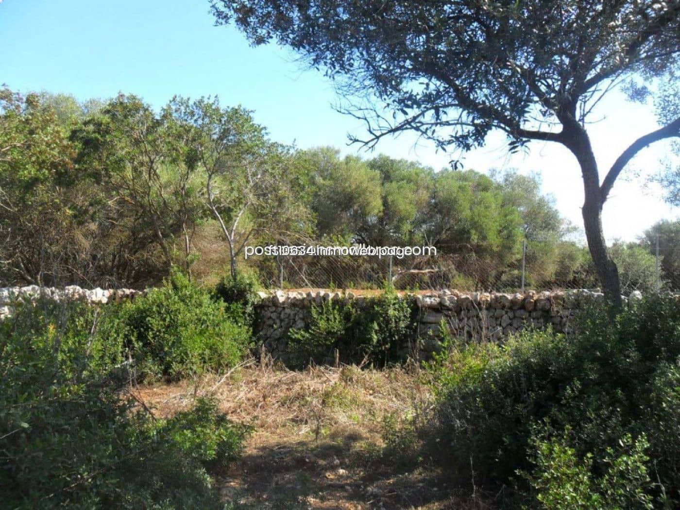 Building Plot for sale in Sencelles - € 450,000 (Ref: 9765228)