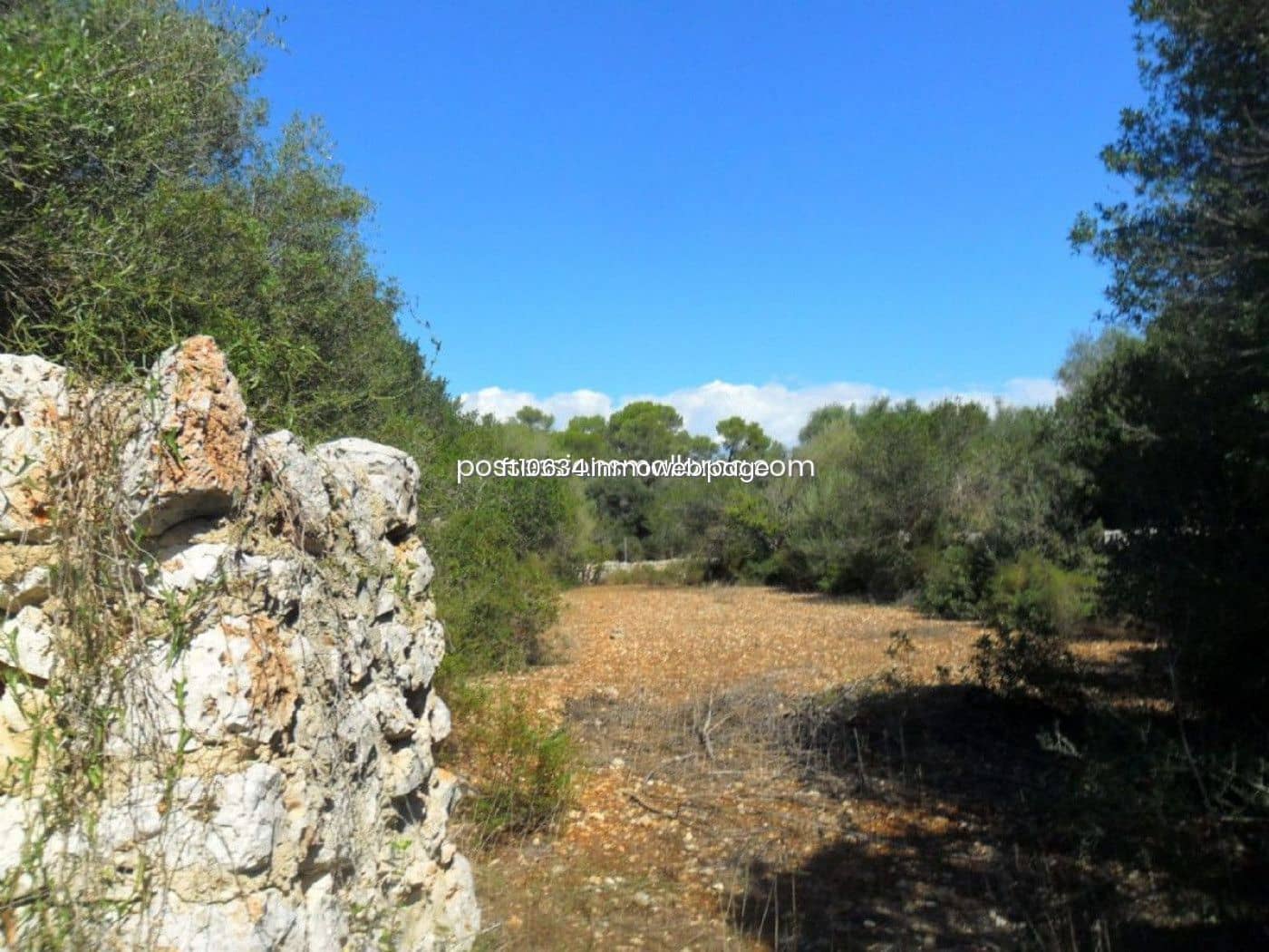 Building Plot for sale in Sencelles - € 450,000 (Ref: 9765228)