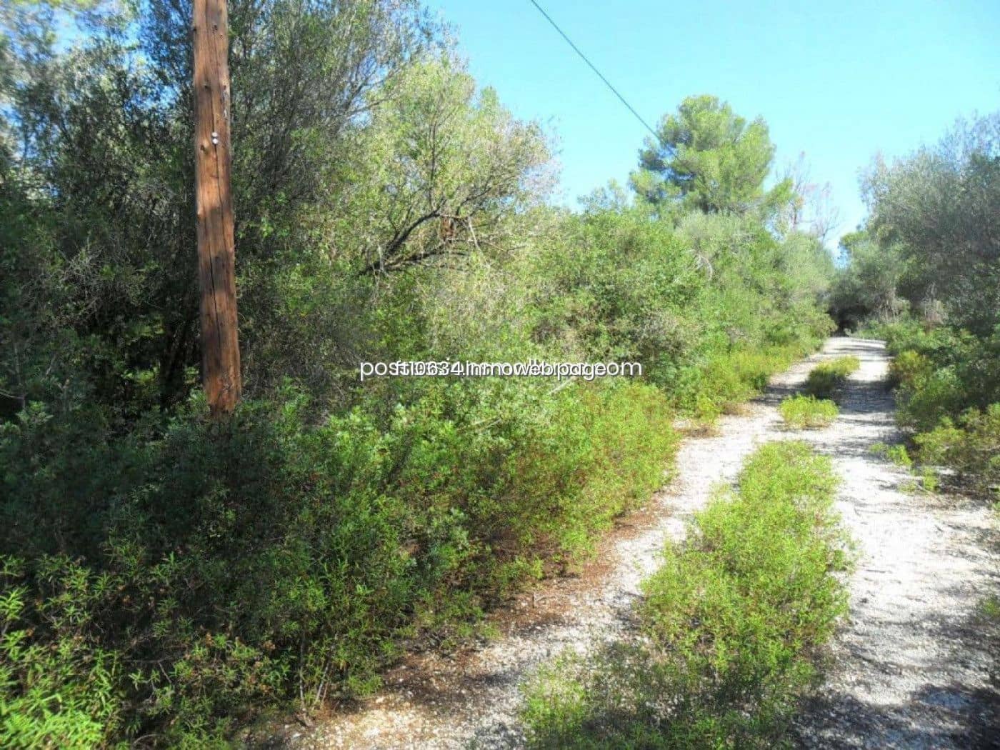 Building Plot for sale in Sencelles - € 450,000 (Ref: 9765228)