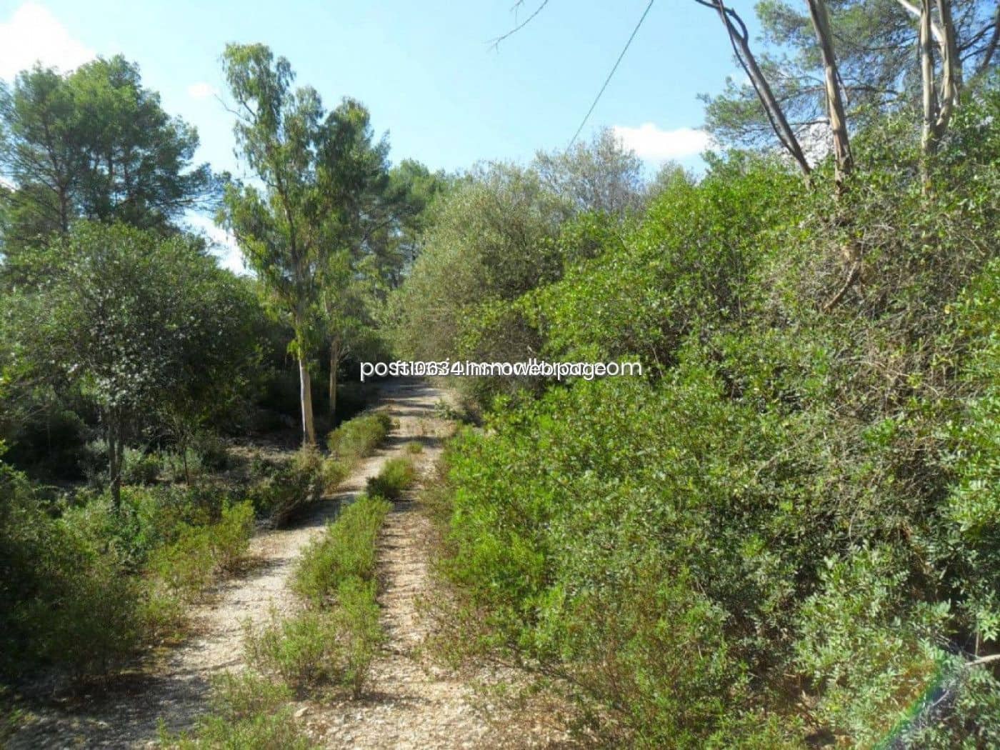 Building Plot for sale in Sencelles - € 450,000 (Ref: 9765228)