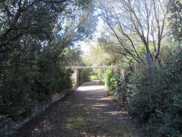 Terrain à Bâtir à vendre à Sencelles - 450 000 € (Ref: 9765228)