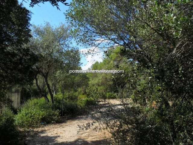 Terrain à Bâtir à vendre à Sencelles - 450 000 € (Ref: 9765228)