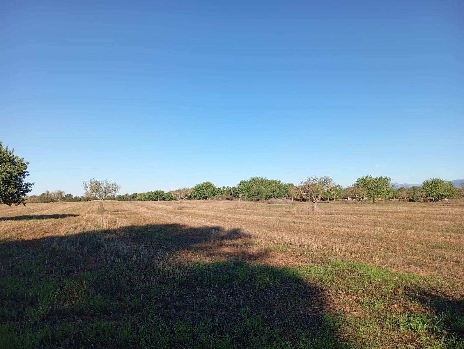 3 soveværelse Finca/Landehus til salg i Algaida - € 550.000 (Ref: 9812285)