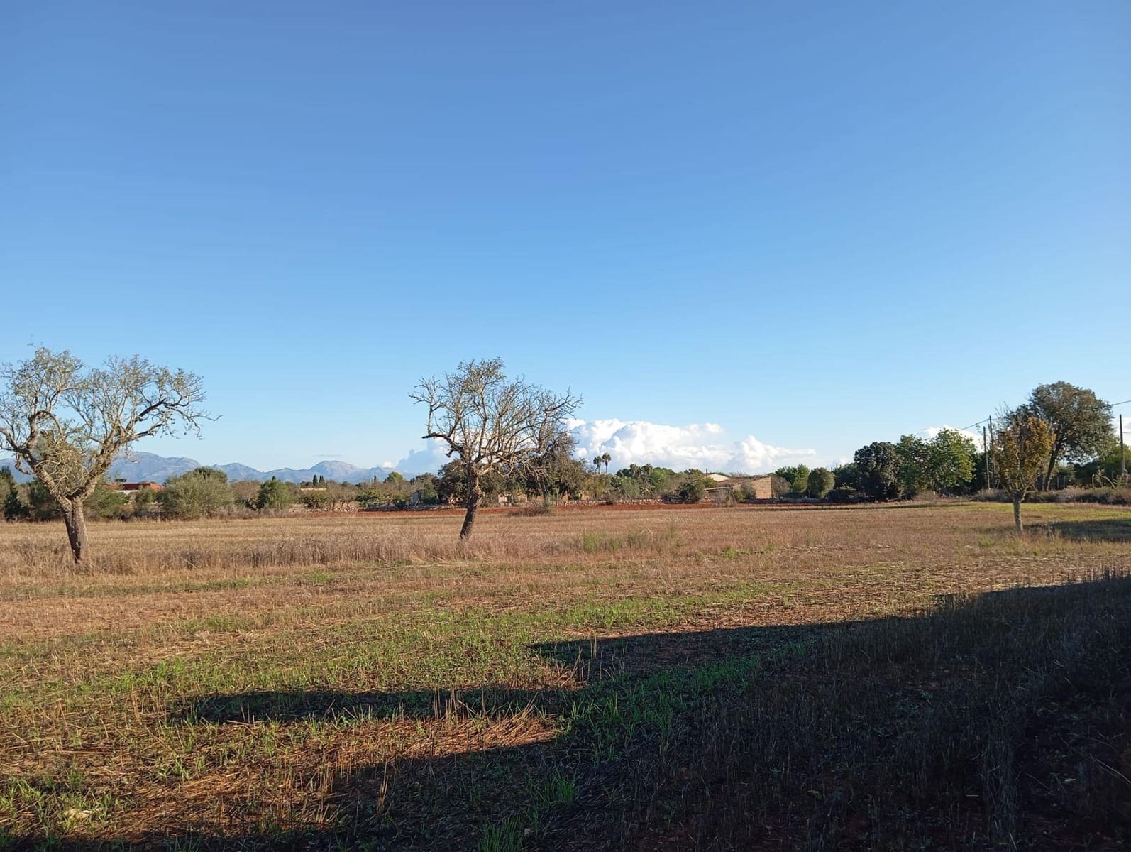 3 soveværelse Finca/Landehus til salg i Algaida - € 550.000 (Ref: 9812285)